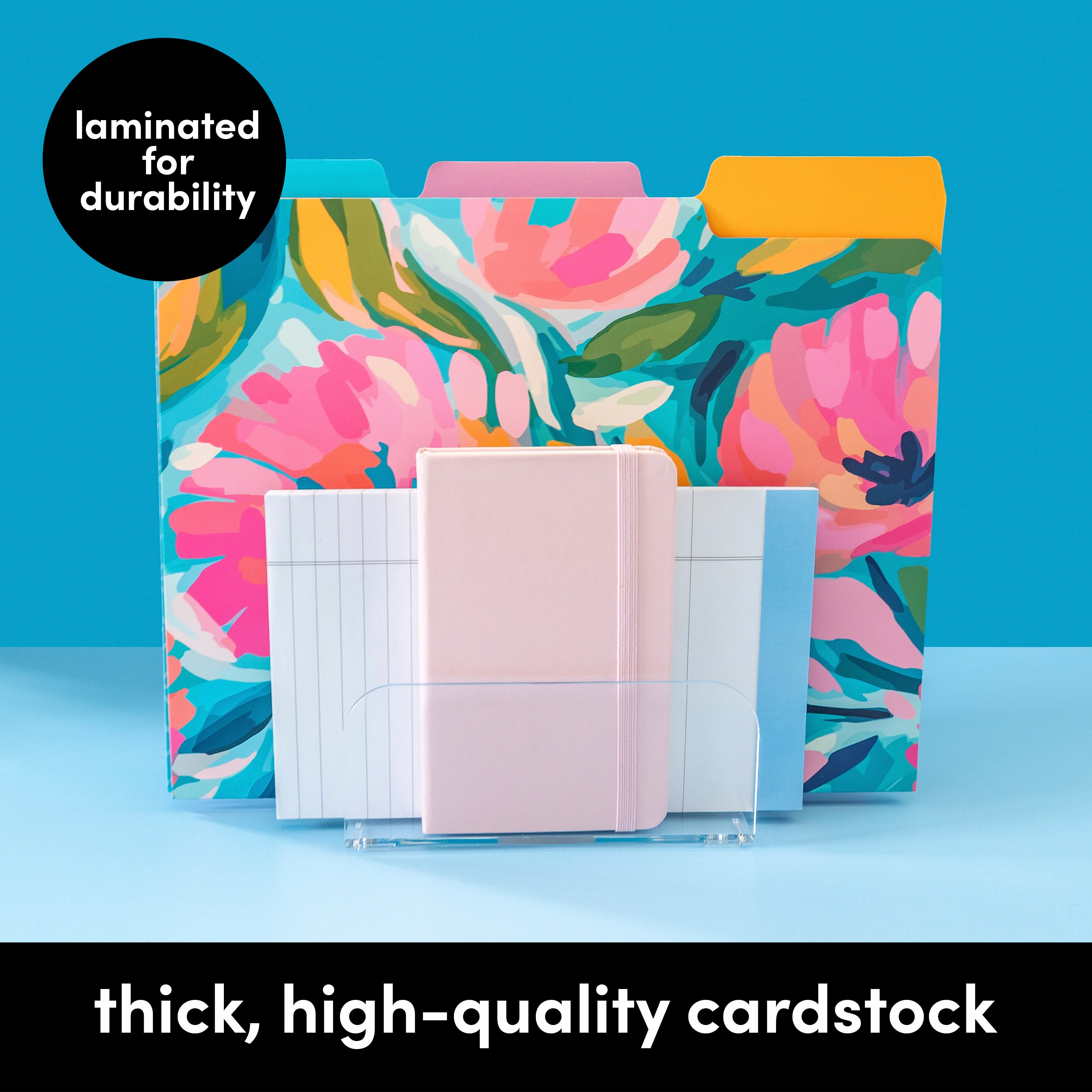 Decorative File Folders (9.5 in x 11.75 in)