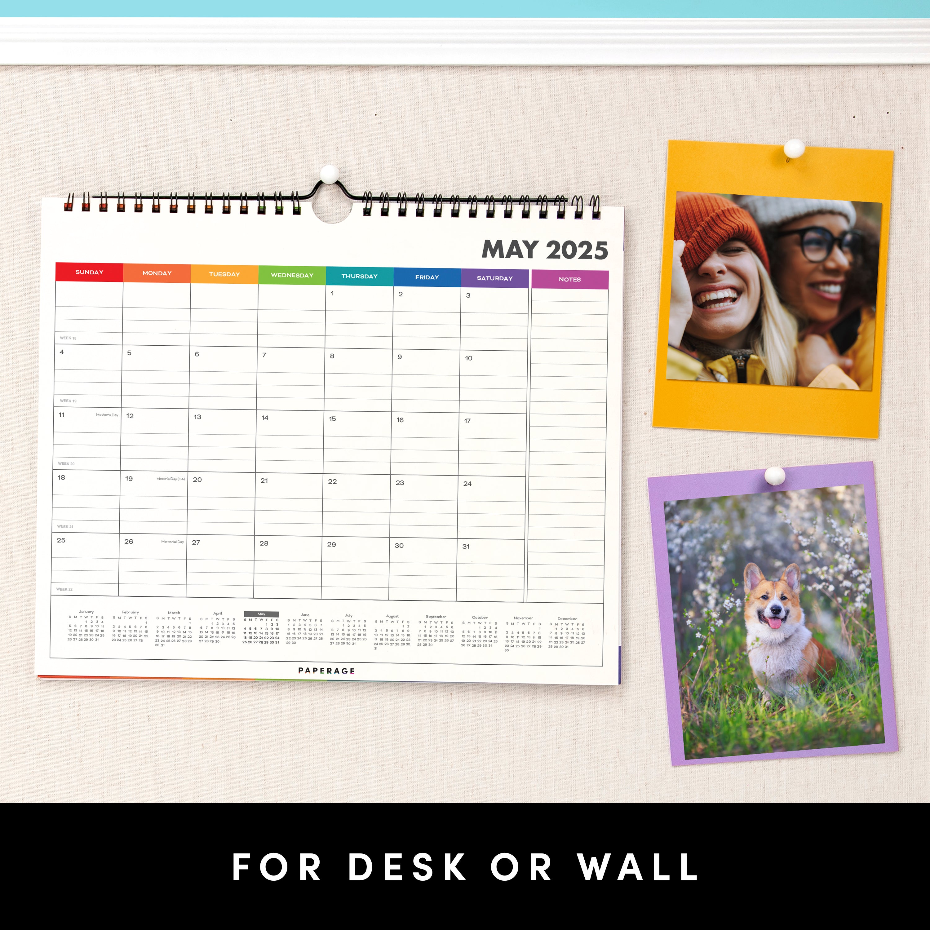 2025 Small Calendar, Minimalist Wall and Desk Calendar (9 in x 11 in)