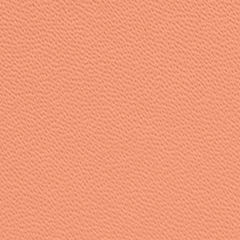 Lined Journal Notebook, Hardcover (5.6 in X 8 in)