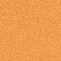 Lined Journal Notebook, Hardcover (5.6 in X 8 in)